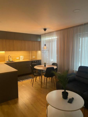 Feelings Apartment apartamenti Smiltene